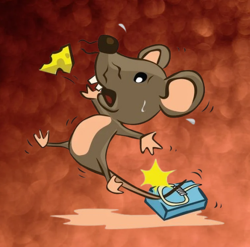 rodent control rat trap